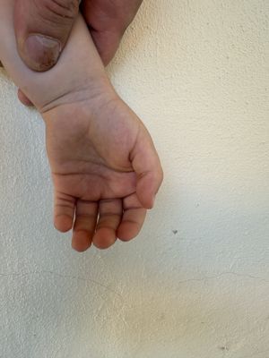 Foto di dettaglio 1