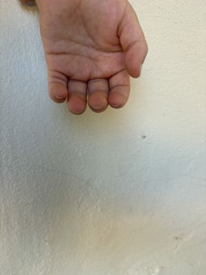 Foto di dettaglio 2